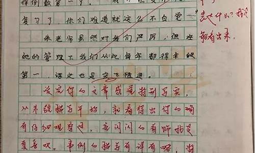 我的老师 作文_我的老师作文300字