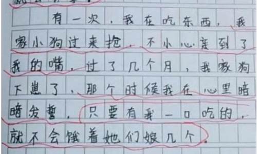 作文老师_作文老师我想对你说400字