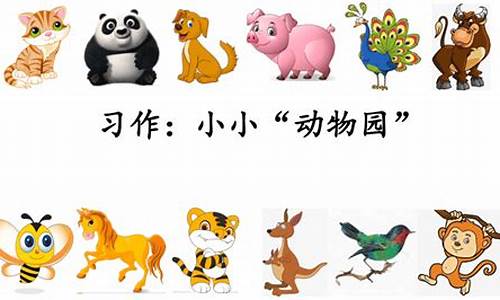 小小动物园300字作文_小小动物园300字作文四年级