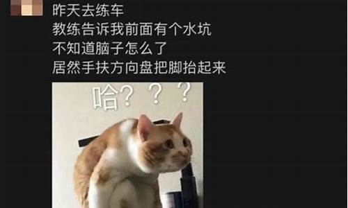 一本正经的沙雕段子_一本正经的沙雕段子文案