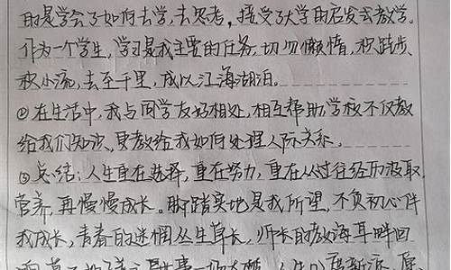 学年鉴定表个人小结