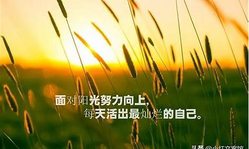 充满正能量的励志短文_充满正能量的励志短文300字